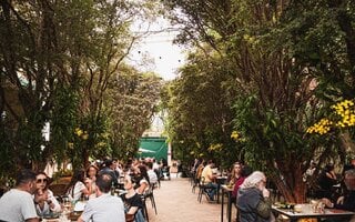 AMA.ZO Campos Elíseos