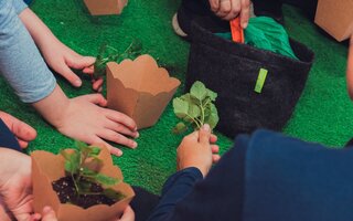 Curso de férias no Start Arte Macunis