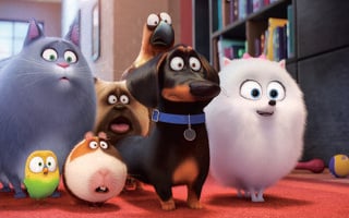 Pets - A Vida Secreta dos Bichos 2 | Infantil